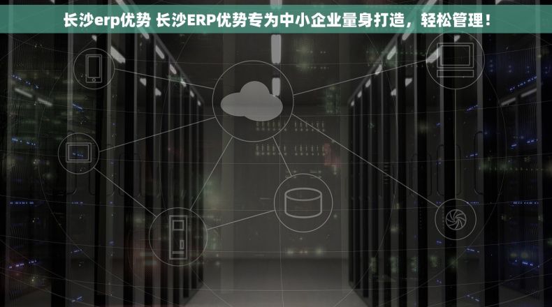 长沙erp优势 长沙ERP优势专为中小企业量身打造，轻松管理！