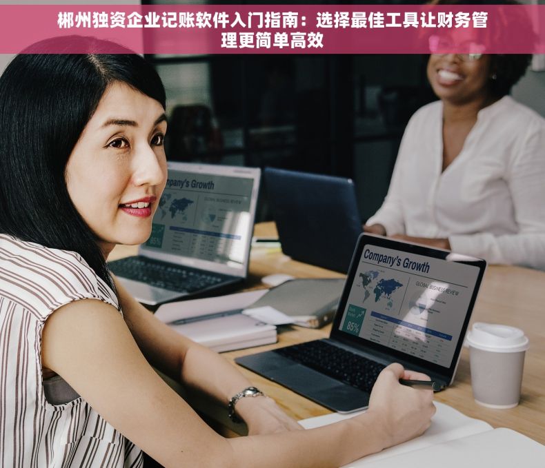 郴州独资企业记账软件入门指南：选择最佳工具让财务管理更简单高效