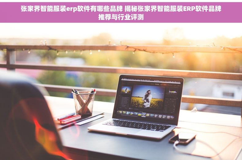 张家界智能服装erp软件有哪些品牌 揭秘张家界智能服装ERP软件品牌推荐与行业评测