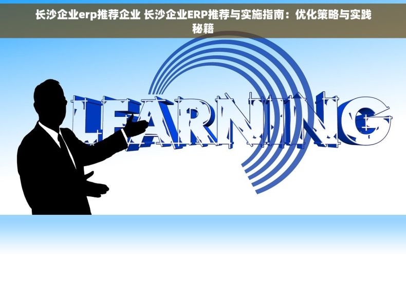 长沙企业erp推荐企业 长沙企业ERP推荐与实施指南：优化策略与实践秘籍