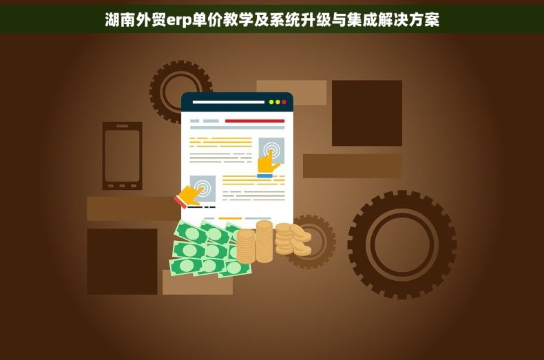 湖南外贸erp单价教学及系统升级与集成解决方案