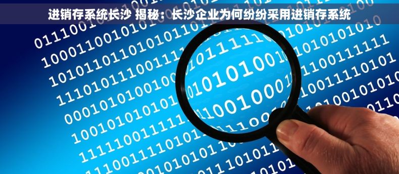 进销存系统长沙 揭秘：长沙企业为何纷纷采用进销存系统