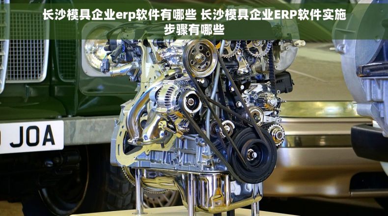 长沙模具企业erp软件有哪些 长沙模具企业ERP软件实施步骤有哪些