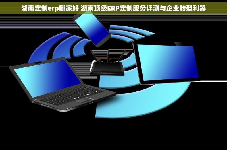 湖南定制erp哪家好 湖南顶级ERP定制服务评测与企业转型利器