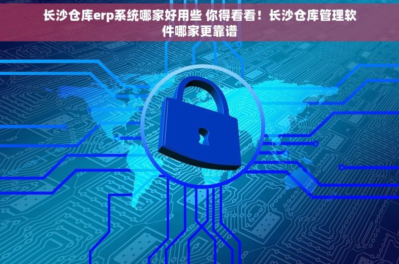 长沙仓库erp系统哪家好用些 你得看看！长沙仓库管理软件哪家更靠谱