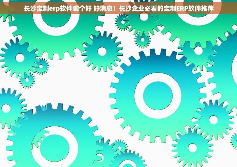 长沙定制erp软件哪个好 好消息！长沙企业必看的定制ERP软件推荐