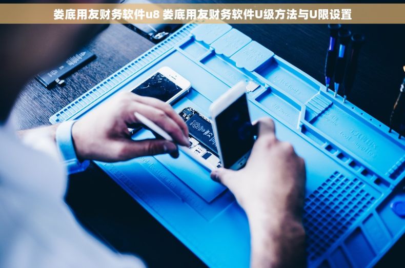 娄底用友财务软件u8 娄底用友财务软件U级方法与U限设置