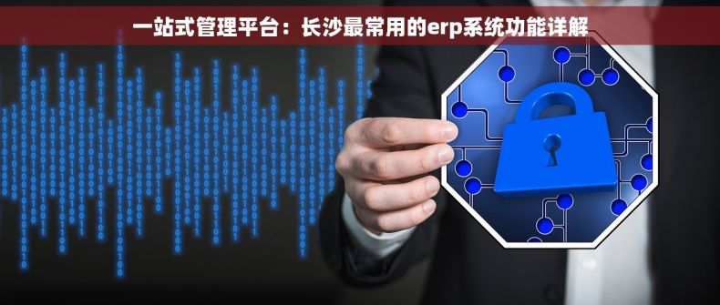 一站式管理平台：长沙最常用的erp系统功能详解