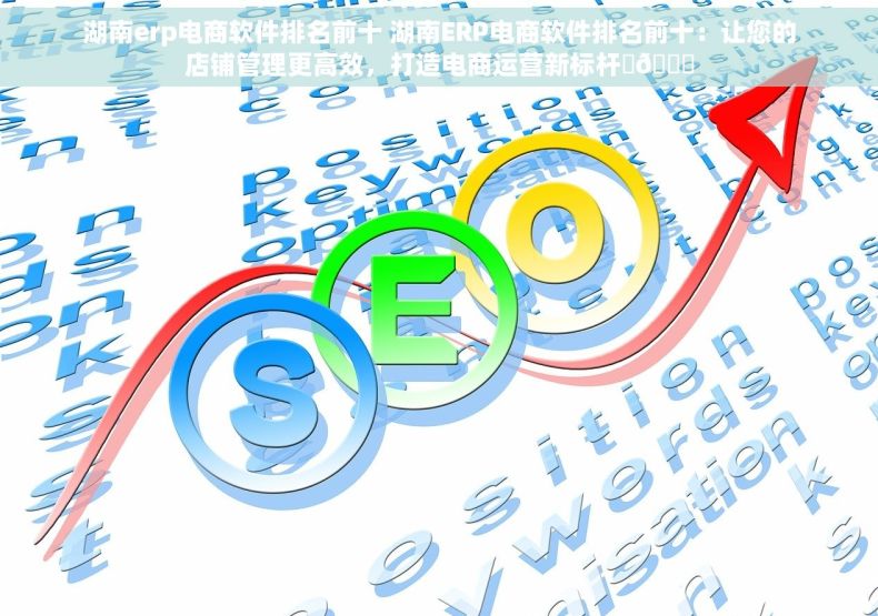 湖南erp电商软件排名前十 湖南ERP电商软件排名前十：让您的店铺管理更高效，打造电商运营新标杆✨🏆