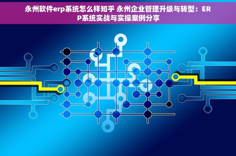 永州软件erp系统怎么样知乎 永州企业管理升级与转型：ERP系统实战与实操案例分享