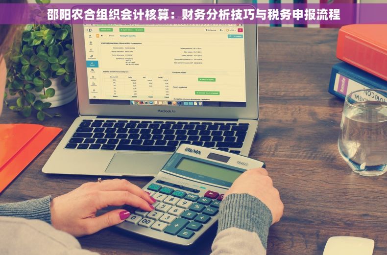 邵阳农合组织会计核算：财务分析技巧与税务申报流程