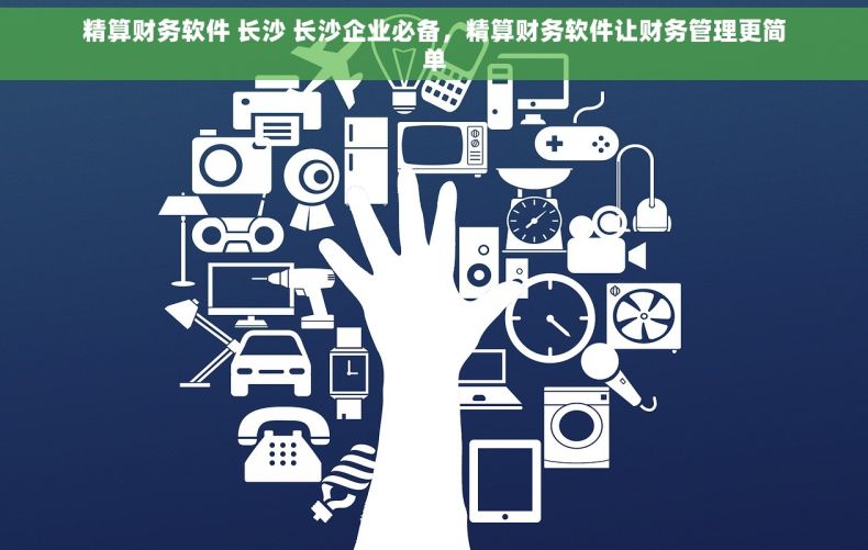 精算财务软件 长沙 长沙企业必备，精算财务软件让财务管理更简单