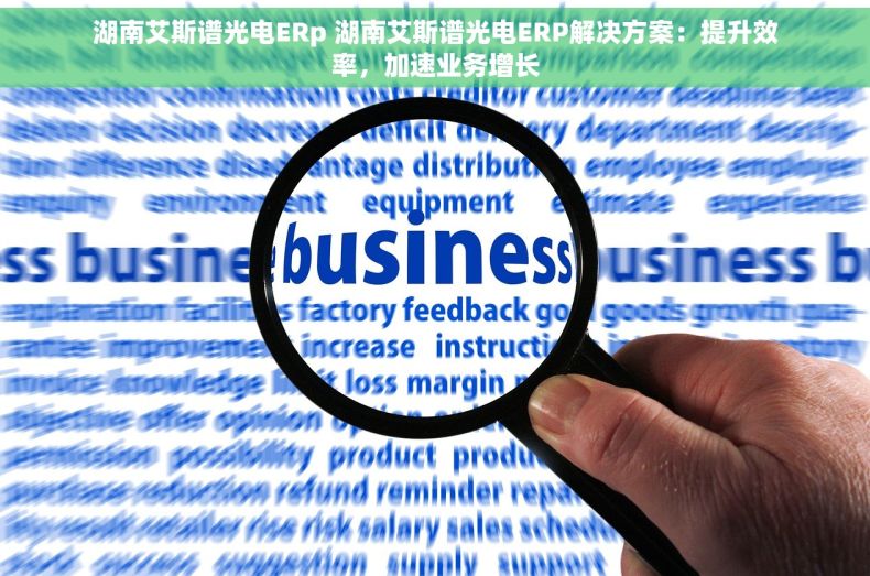 湖南艾斯谱光电ERp 湖南艾斯谱光电ERP解决方案：提升效率，加速业务增长