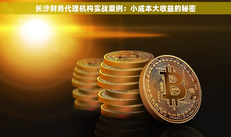 长沙财务代理机构实战案例：小成本大收益的秘密