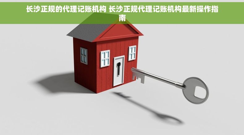 长沙正规的代理记账机构 长沙正规代理记账机构最新操作指南