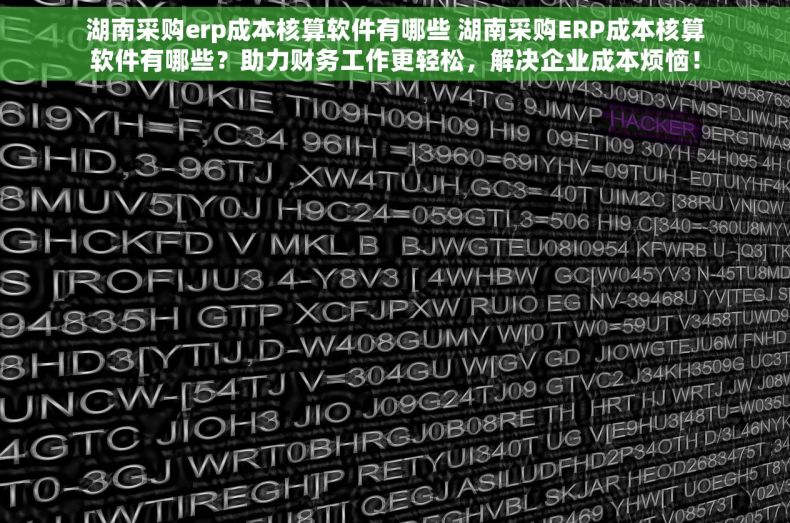 湖南采购erp成本核算软件有哪些 湖南采购ERP成本核算软件有哪些？助力财务工作更轻松，解决企业成本烦恼！