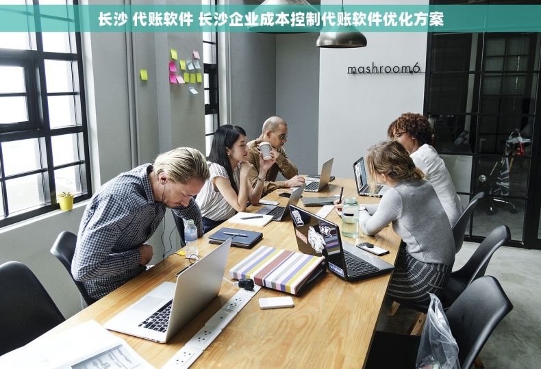 长沙 代账软件 长沙企业成本控制代账软件优化方案