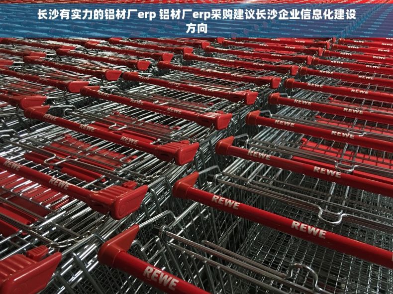 长沙有实力的铝材厂erp 铝材厂erp采购建议长沙企业信息化建设方向