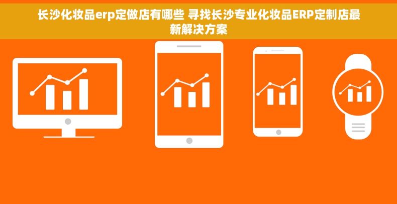 长沙化妆品erp定做店有哪些 寻找长沙专业化妆品ERP定制店最新解决方案