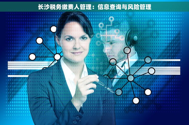 长沙税务缴费人管理：信息查询与风险管理