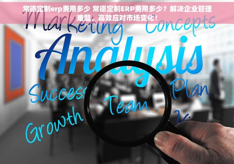 常德定制erp费用多少 常德定制ERP费用多少？解决企业管理难题，高效应对市场变化！