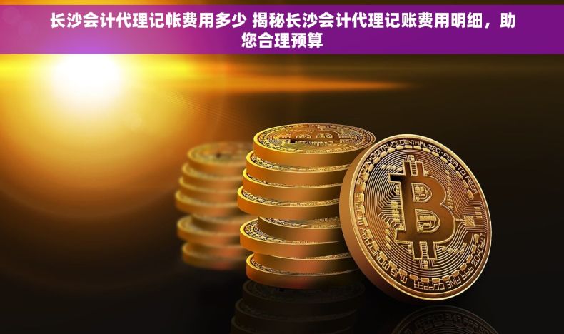 长沙会计代理记帐费用多少 揭秘长沙会计代理记账费用明细，助您合理预算