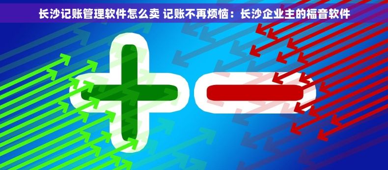 长沙记账管理软件怎么卖 记账不再烦恼：长沙企业主的福音软件