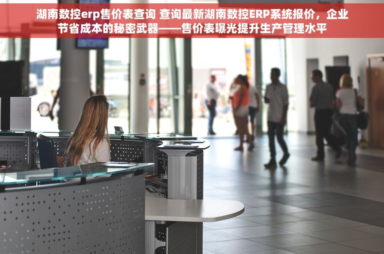 湖南数控erp售价表查询 查询最新湖南数控ERP系统报价，企业节省成本的秘密武器——售价表曝光提升生产管理水平