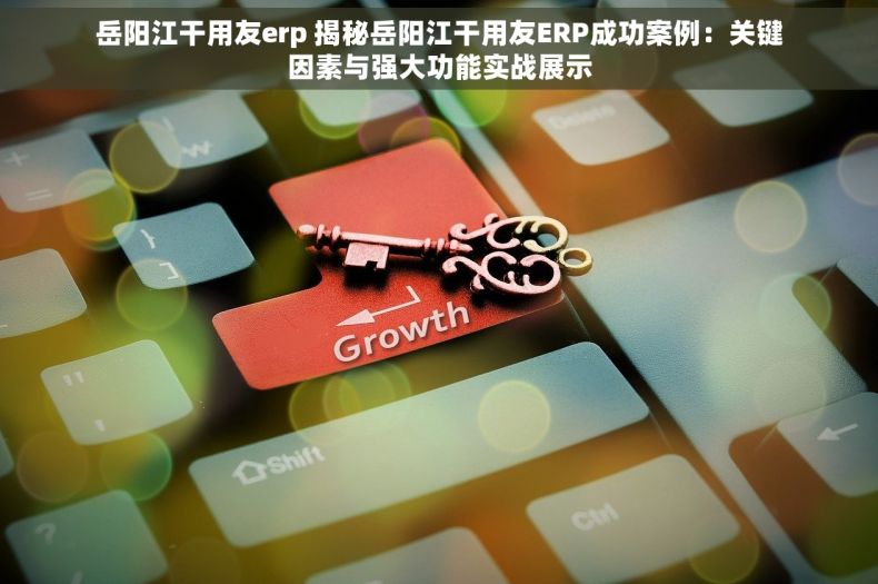 岳阳江干用友erp 揭秘岳阳江干用友ERP成功案例：关键因素与强大功能实战展示