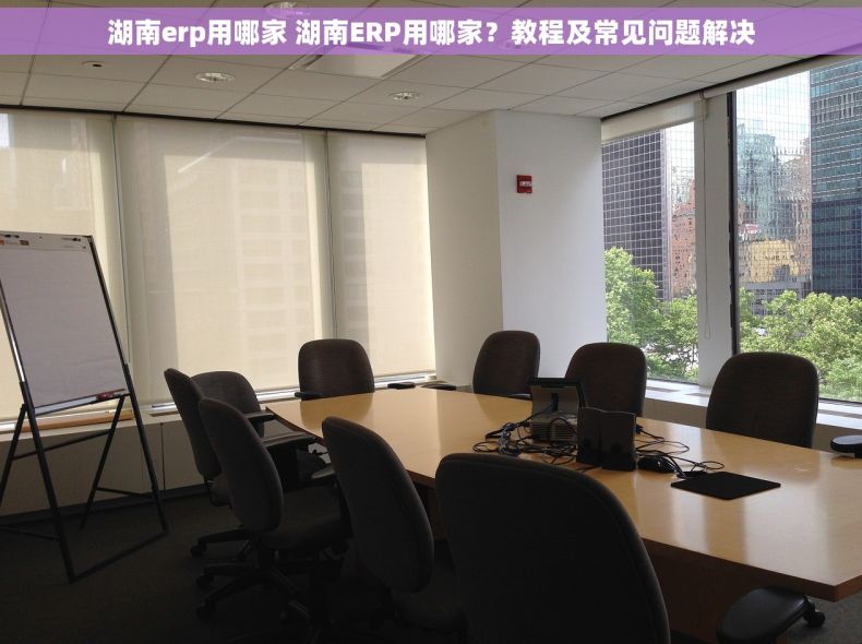 湖南erp用哪家 湖南ERP用哪家？教程及常见问题解决