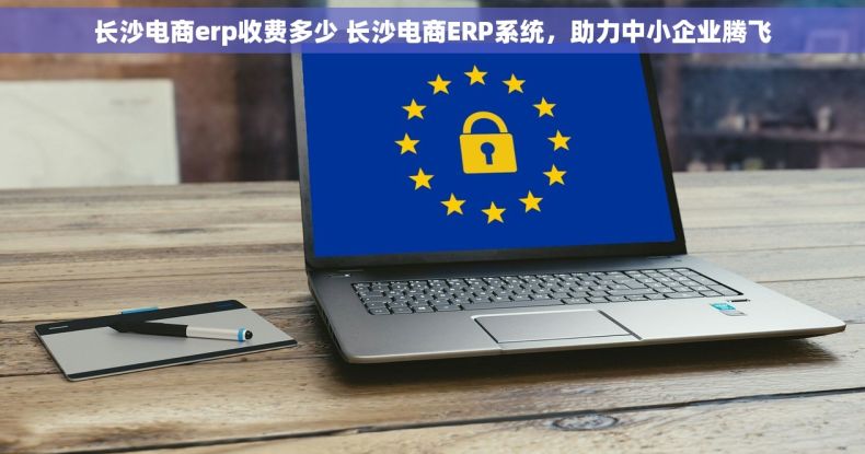 长沙电商erp收费多少 长沙电商ERP系统，助力中小企业腾飞