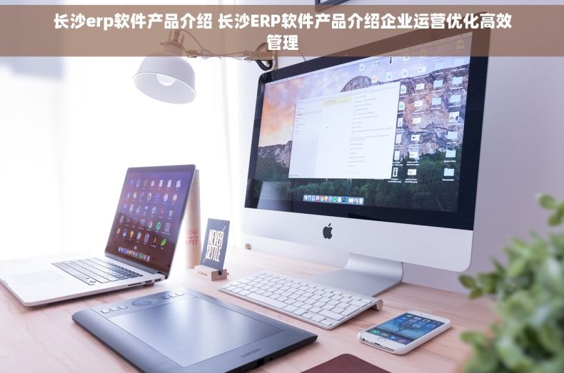长沙erp软件产品介绍 长沙ERP软件产品介绍企业运营优化高效管理