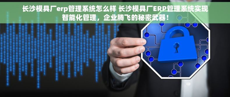 长沙模具厂erp管理系统怎么样 长沙模具厂ERP管理系统实现智能化管理，企业腾飞的秘密武器！