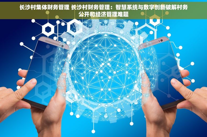 长沙村集体财务管理 长沙村财务管理：智慧系统与数字创新破解村务公开和经济管理难题