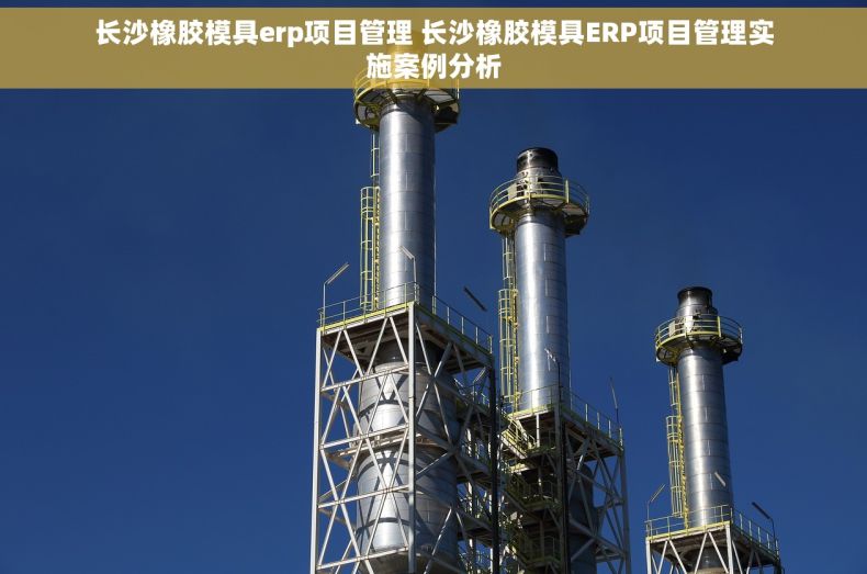 长沙橡胶模具erp项目管理 长沙橡胶模具ERP项目管理实施案例分析