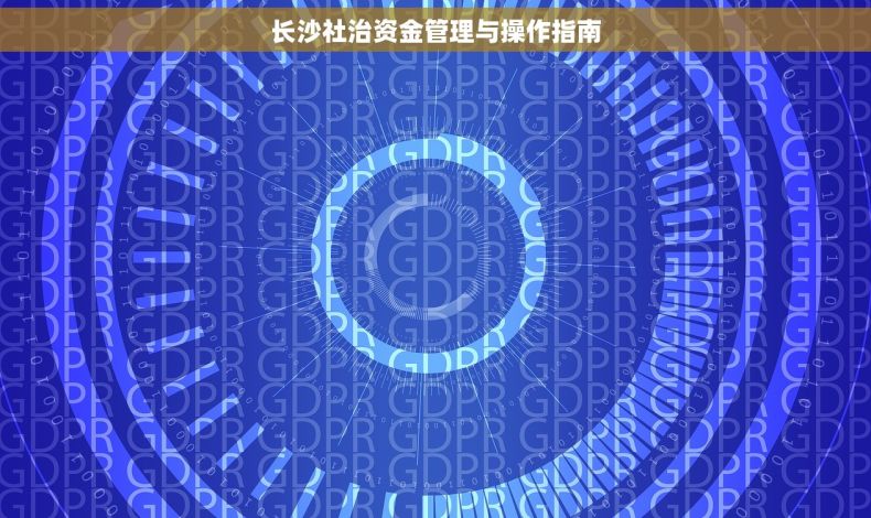 长沙社治资金管理与操作指南