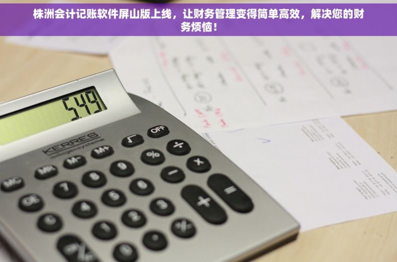 株洲会计记账软件屏山版上线，让财务管理变得简单高效，解决您的财务烦恼！