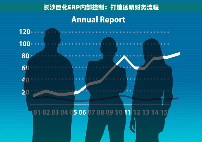 长沙巨化ERP内部控制：打造透明财务流程