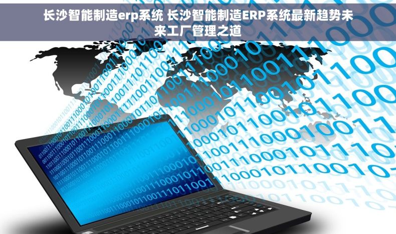 长沙智能制造erp系统 长沙智能制造ERP系统最新趋势未来工厂管理之道