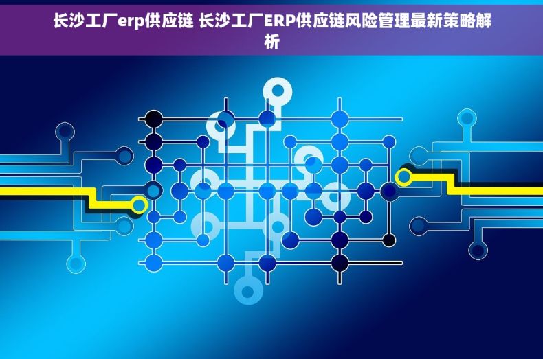 长沙工厂erp供应链 长沙工厂ERP供应链风险管理最新策略解析