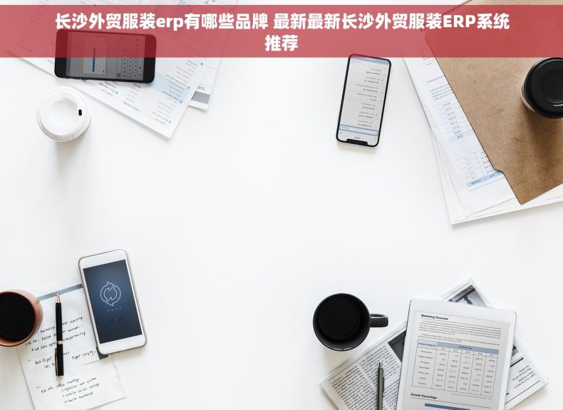 长沙外贸服装erp有哪些品牌 最新最新长沙外贸服装ERP系统推荐