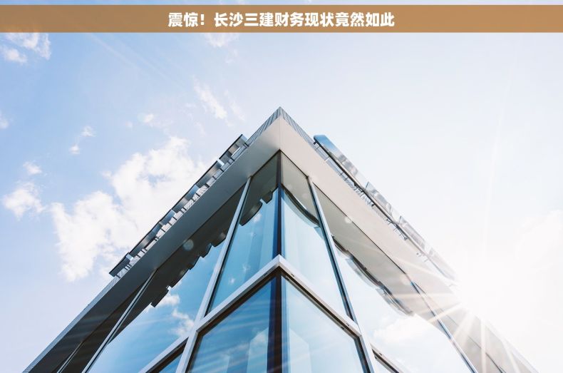 震惊！长沙三建财务现状竟然如此
