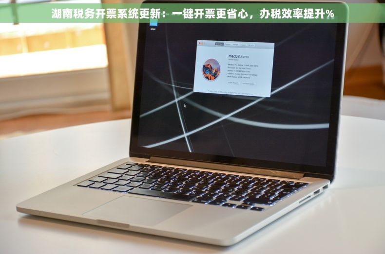 湖南税务开票系统更新：一键开票更省心，办税效率提升%
