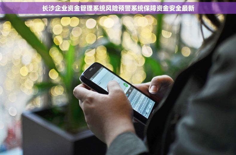 长沙企业资金管理系统风险预警系统保障资金安全最新
