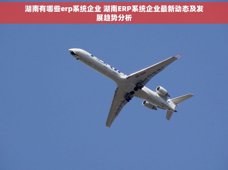 湖南有哪些erp系统企业 湖南ERP系统企业最新动态及发展趋势分析