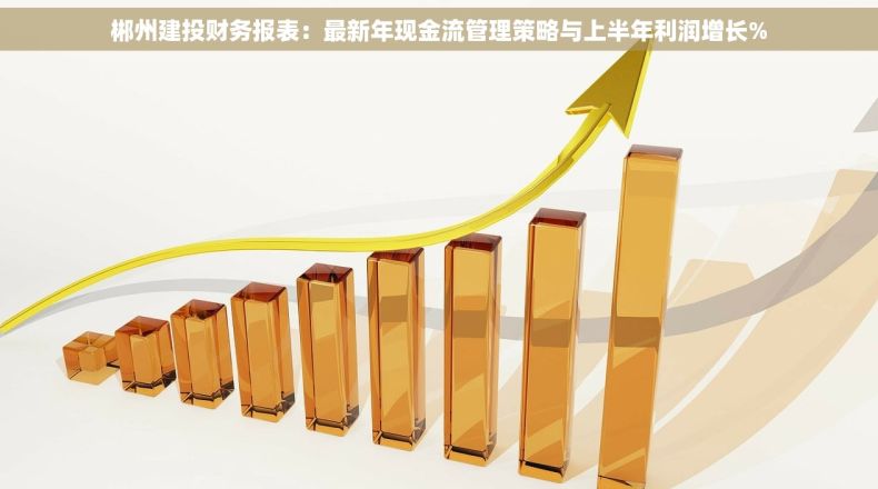 郴州建投财务报表：最新年现金流管理策略与上半年利润增长%