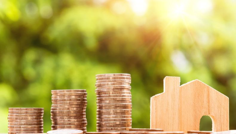 郴州建投财务报表：最新年现金流管理策略与上半年利润增长%