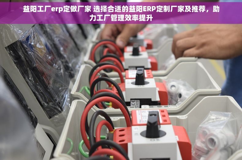 益阳工厂erp定做厂家 选择合适的益阳ERP定制厂家及推荐，助力工厂管理效率提升