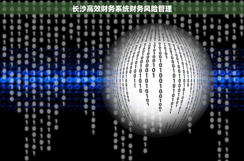 长沙高效财务系统财务风险管理
