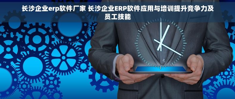 长沙企业erp软件厂家 长沙企业ERP软件应用与培训提升竞争力及员工技能